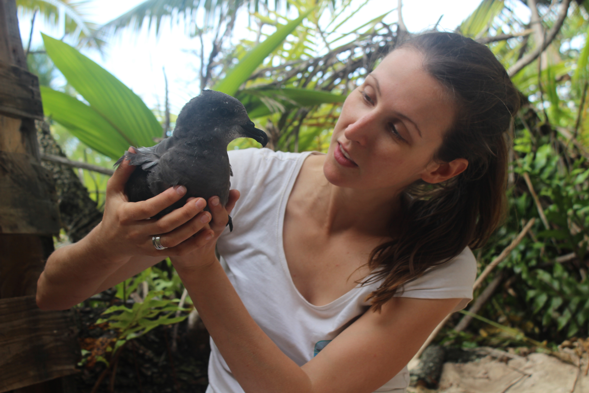 Woman holding Seabird and looking at it