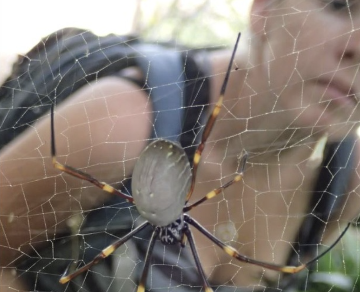 lizzie lowe looking at a spider