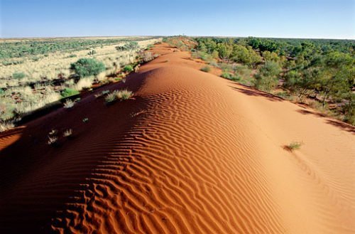 Where The Force Is Thick: Uncovering The Mystical Outback