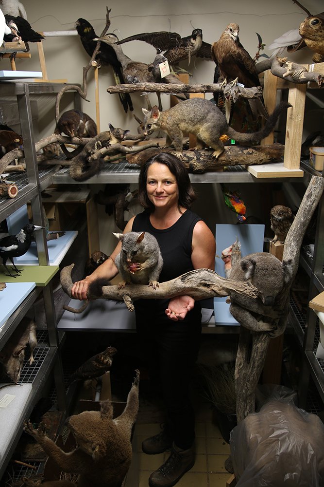 Gore into art: Meet the female taxidermists working in our museums -  Australian Geographic