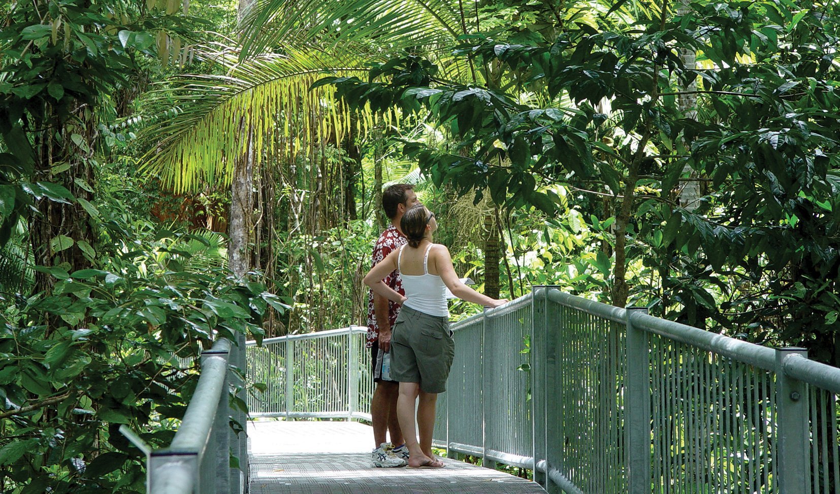 Gallery Australia's best treetop walks Australian Geographic