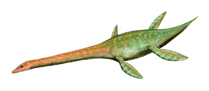 Gallery: Species named after famous people - Australian Geographic Gallery: Species named after famous people - Australian Geographic