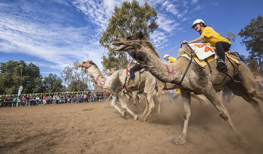 Lasseters Camel Cup - Australian Geographic