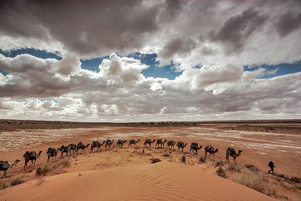 Camel trek through the Simpson Desert - Australian Geographic