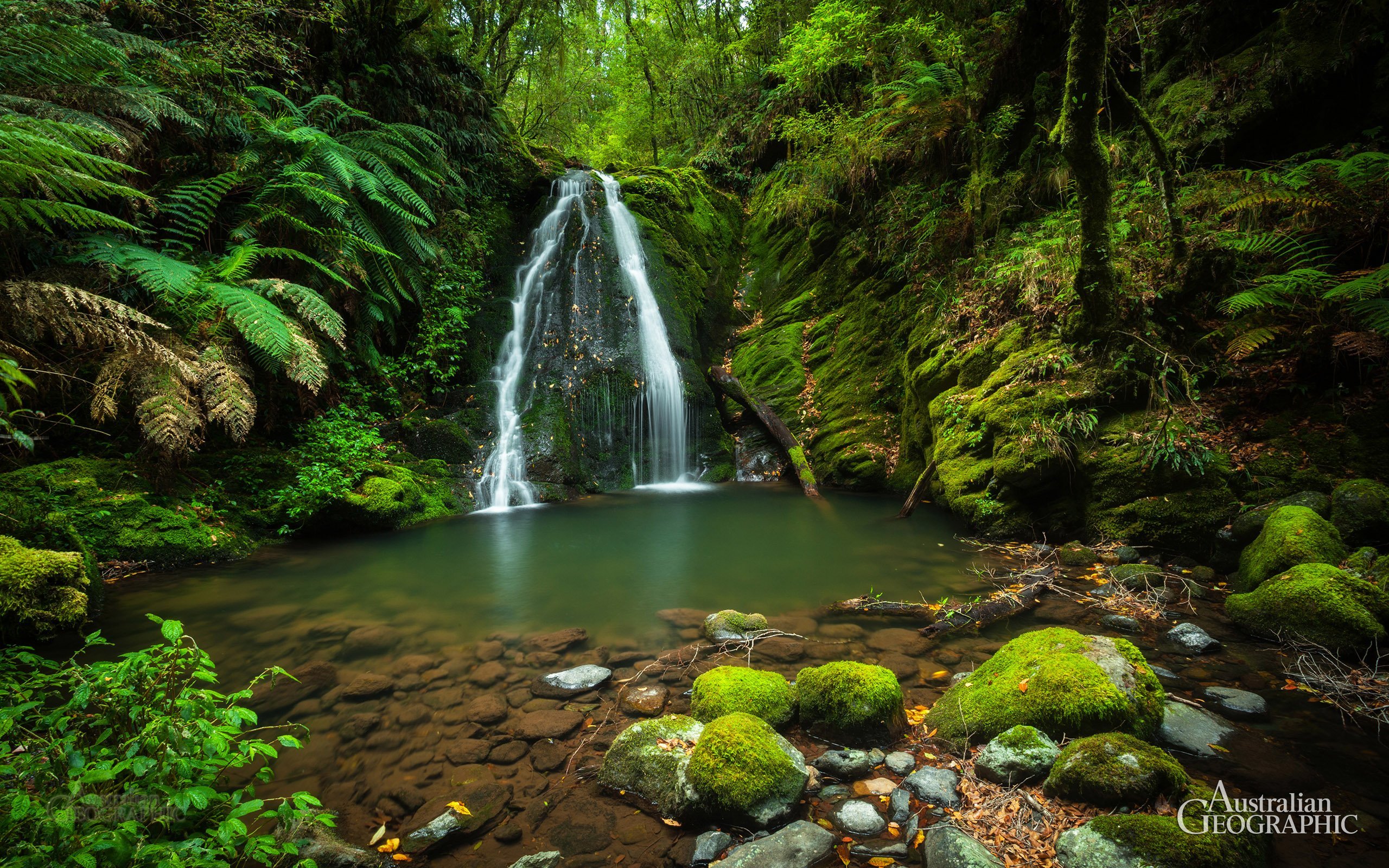 New England National Park, NSW - Australian Geographic