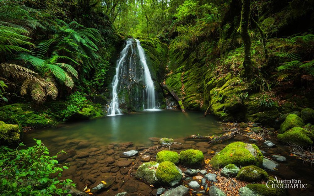 Science is verifying traditional &#39;Mother Earth&#39; mythology: David Suzuki - Australian Geographic