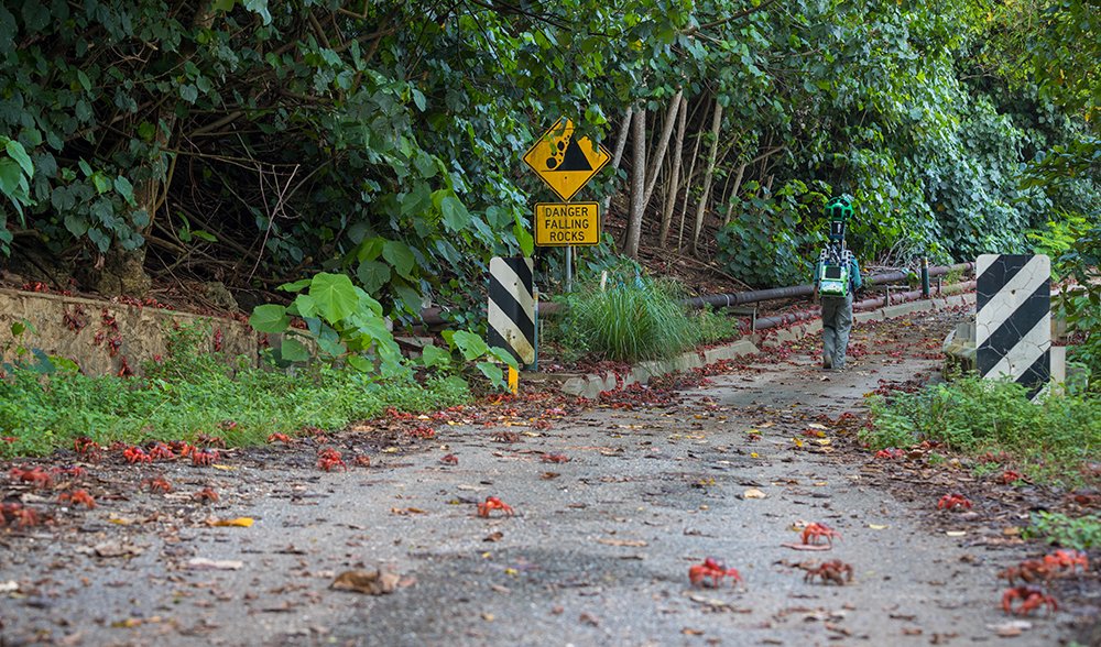 you can now explore christmas island via google earth and street