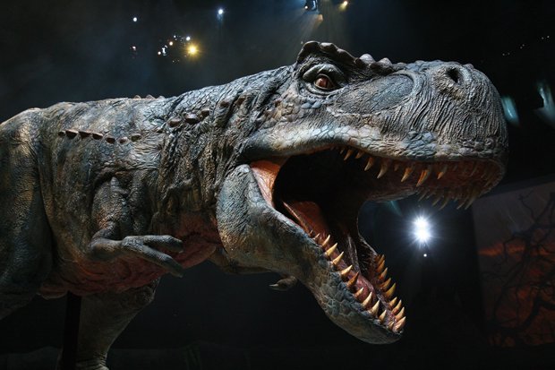 Blog - Dinosaur 3D - AR Camera