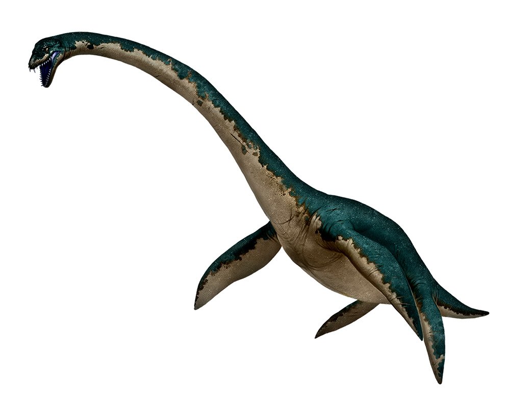 Prehistoric marine creatures: monsters of the deep - Australian Geographic Prehistoric marine creatures: monsters of the deep - Australian Geographic