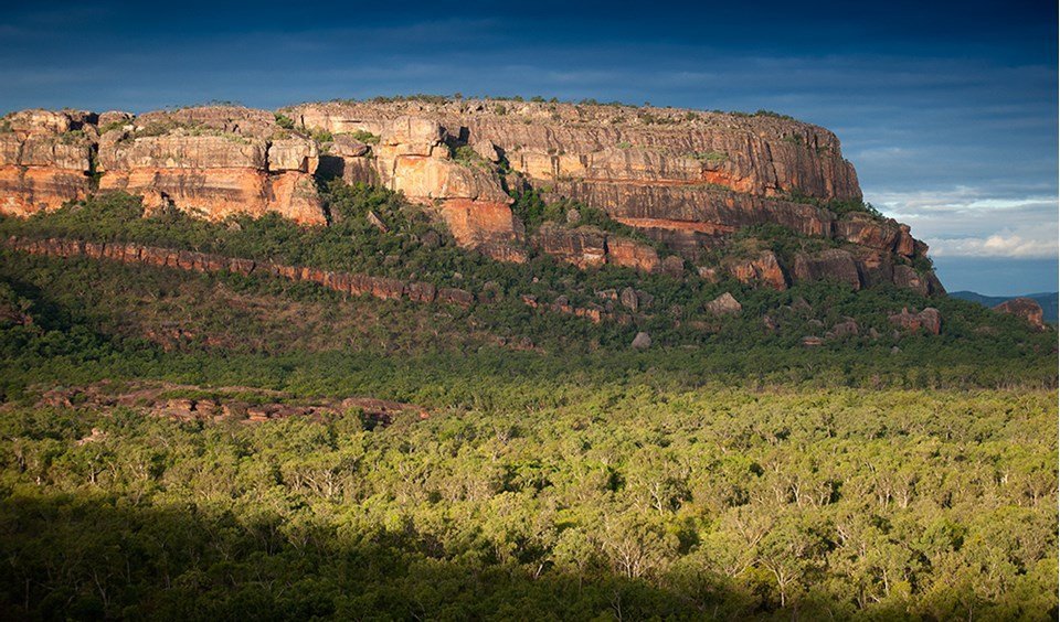 Savannah strolling: bushwalking in Kakadu National Park - Australian  Geographic