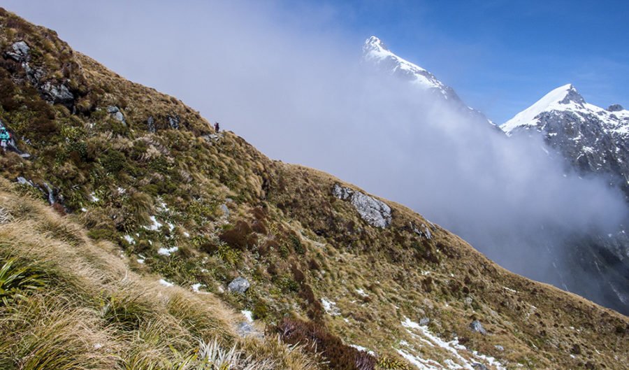 stream valley new zealand steep torrent group mountain blue danger