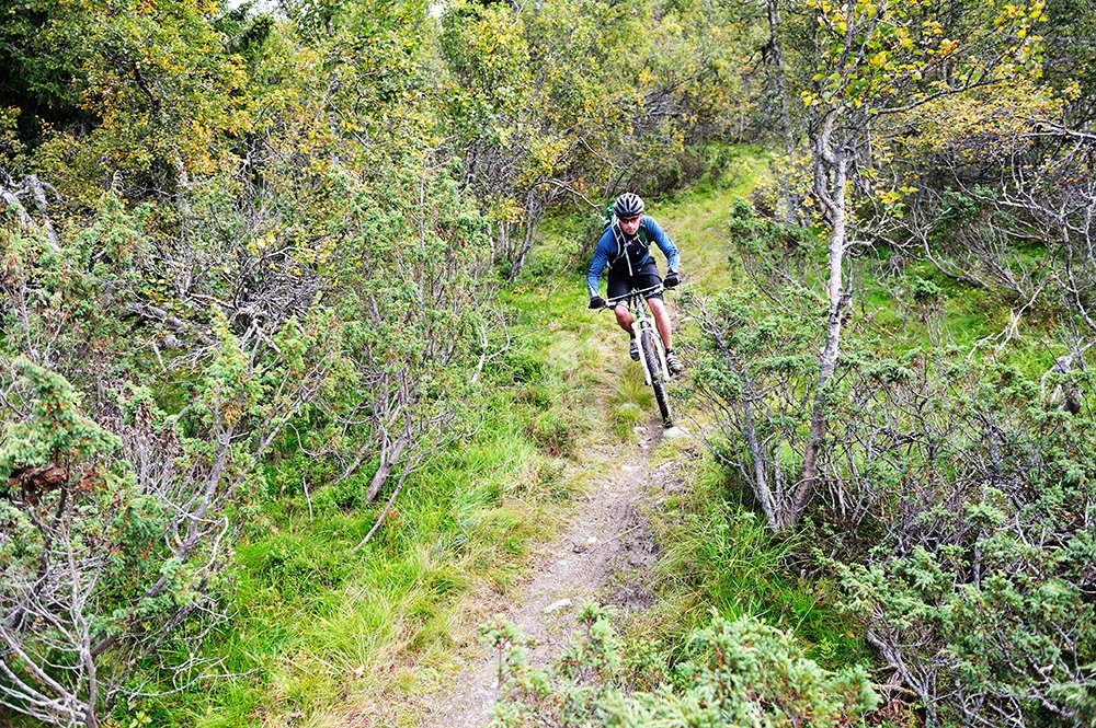 mountain bike tracks