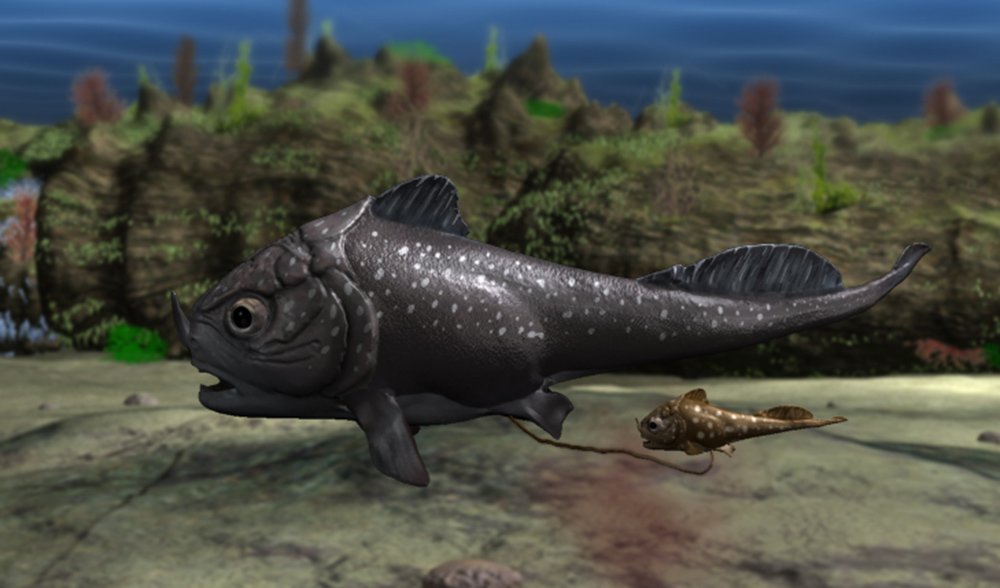 Gallery: Species named after famous people - Australian Geographic Gallery: Species named after famous people - Australian Geographic