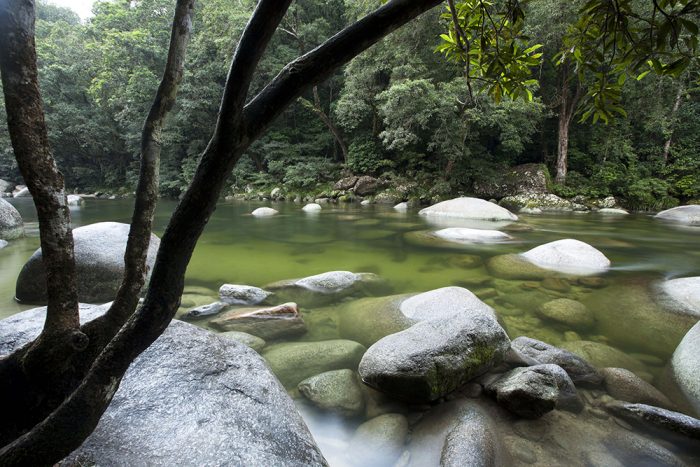 Mossman Gorge Daintree Queensland