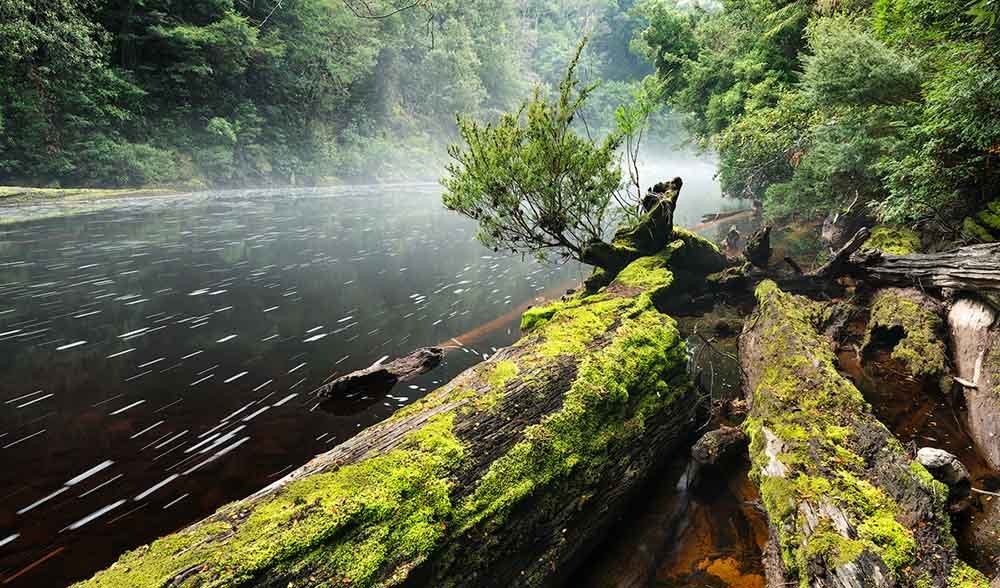 GALLERY: Stunning Tasmanian wilderness photography - Australian Geographic