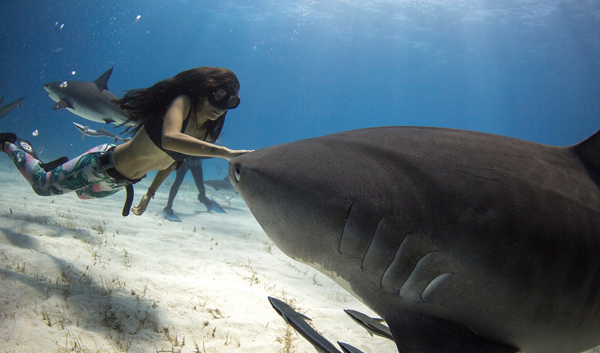 Madison Stewart Madison Stewart on protecting sharks: the biggest threat is human