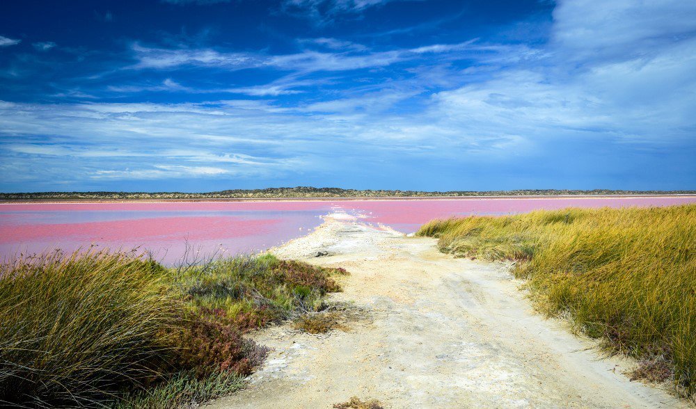 Pink-Lake-2023c.jpg