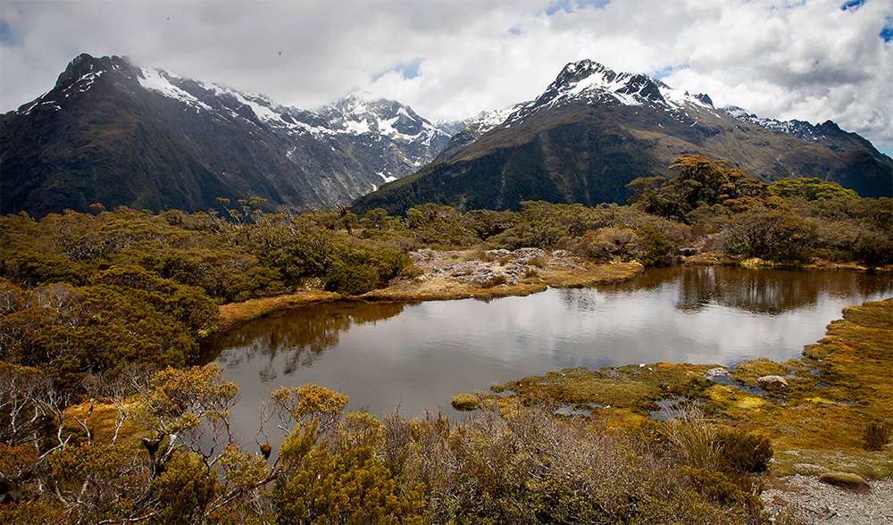 stream valley new zealand steep torrent group mountain blue danger