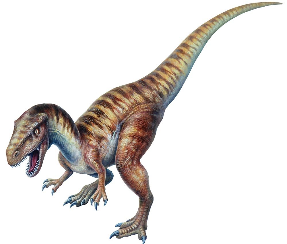 Uncovering dinosaurs in China Australian Geographic
