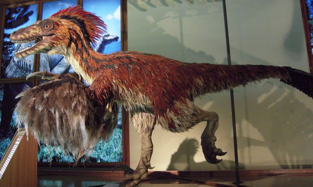 5 Facts About Deinonychus - The Big Dinosaur Podcast