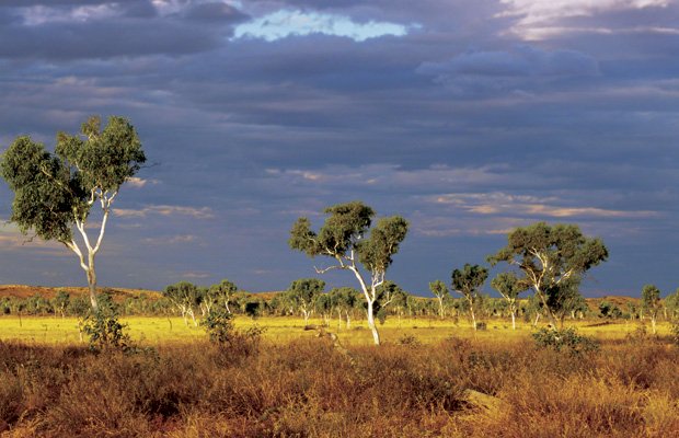 Aboriginal desert reserve bigger than - Australian Geographic