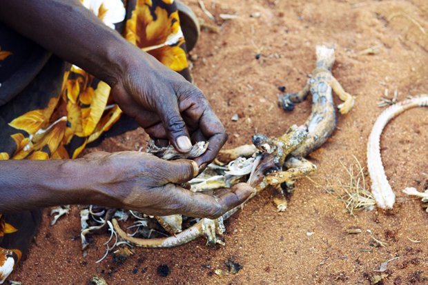 Gallery Living The Traditional Martu Life Australian Geographic 