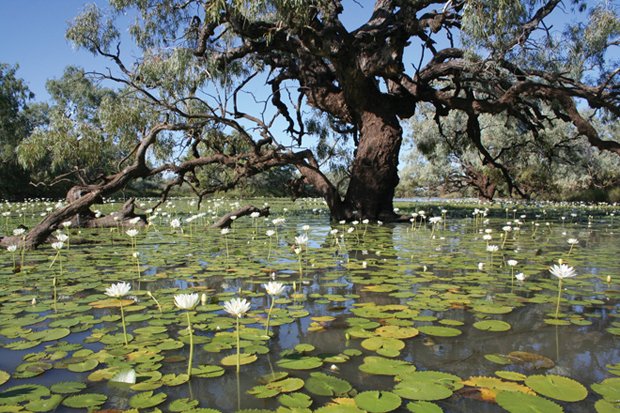 Desert Channels: The Impulse to Conserve