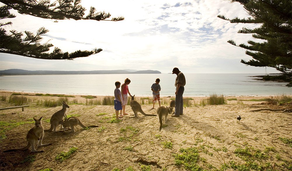 Batemans Bay, NSW Australian Geographic