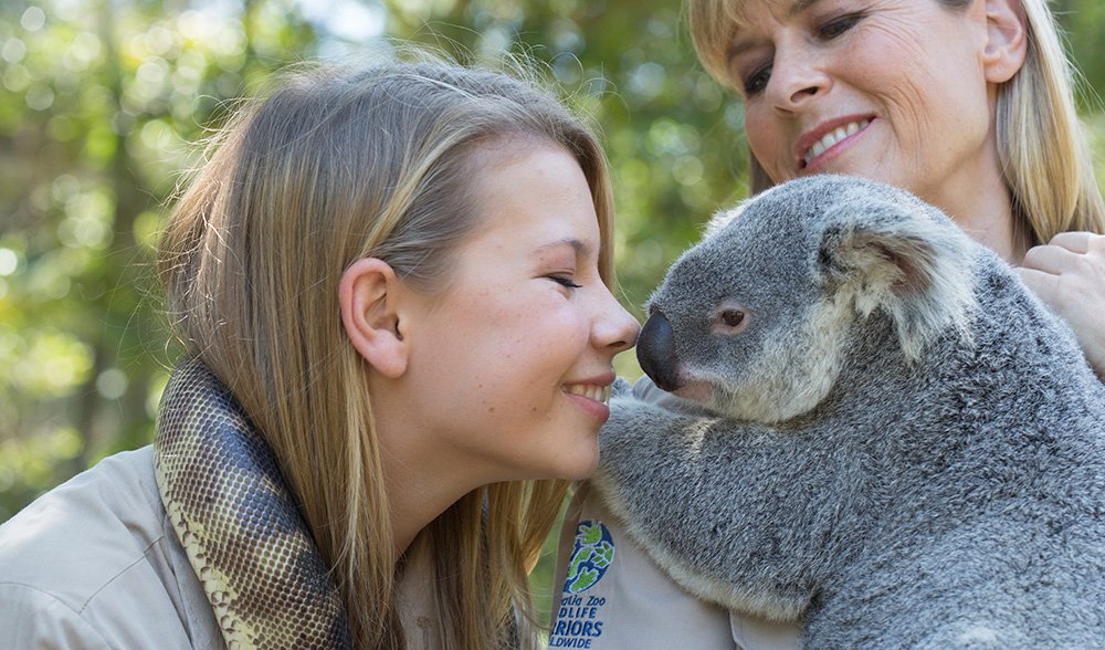 Animal Encounters at Australia Zoo - Get Up Close With Our Amazing Wildlife