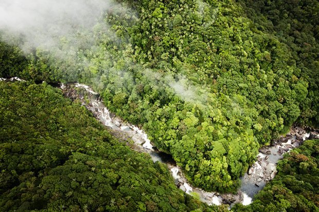 Mossman Gorge Daintree NP Queensland