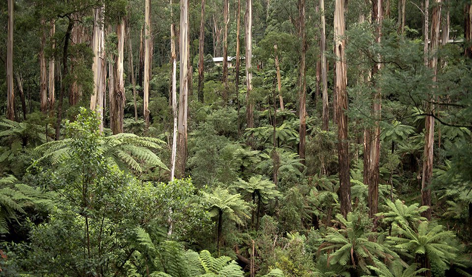 skyway travel dandenong