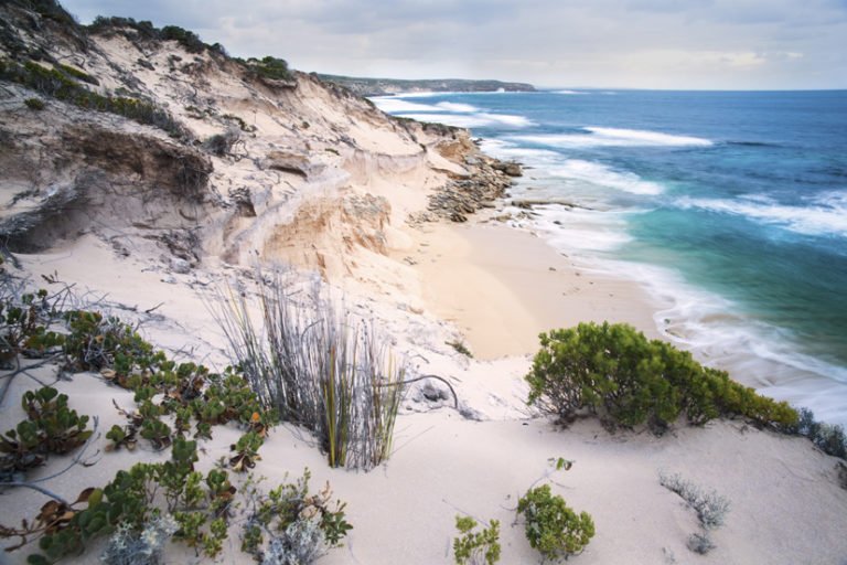 Gallery Eyre Peninsula, South Australia Australian Geographic