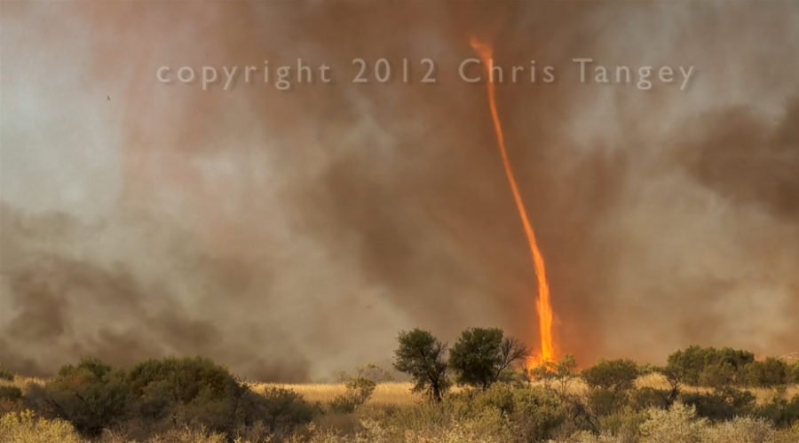 Fire tornadoes a rare weather phenomenon Australian Geographic
