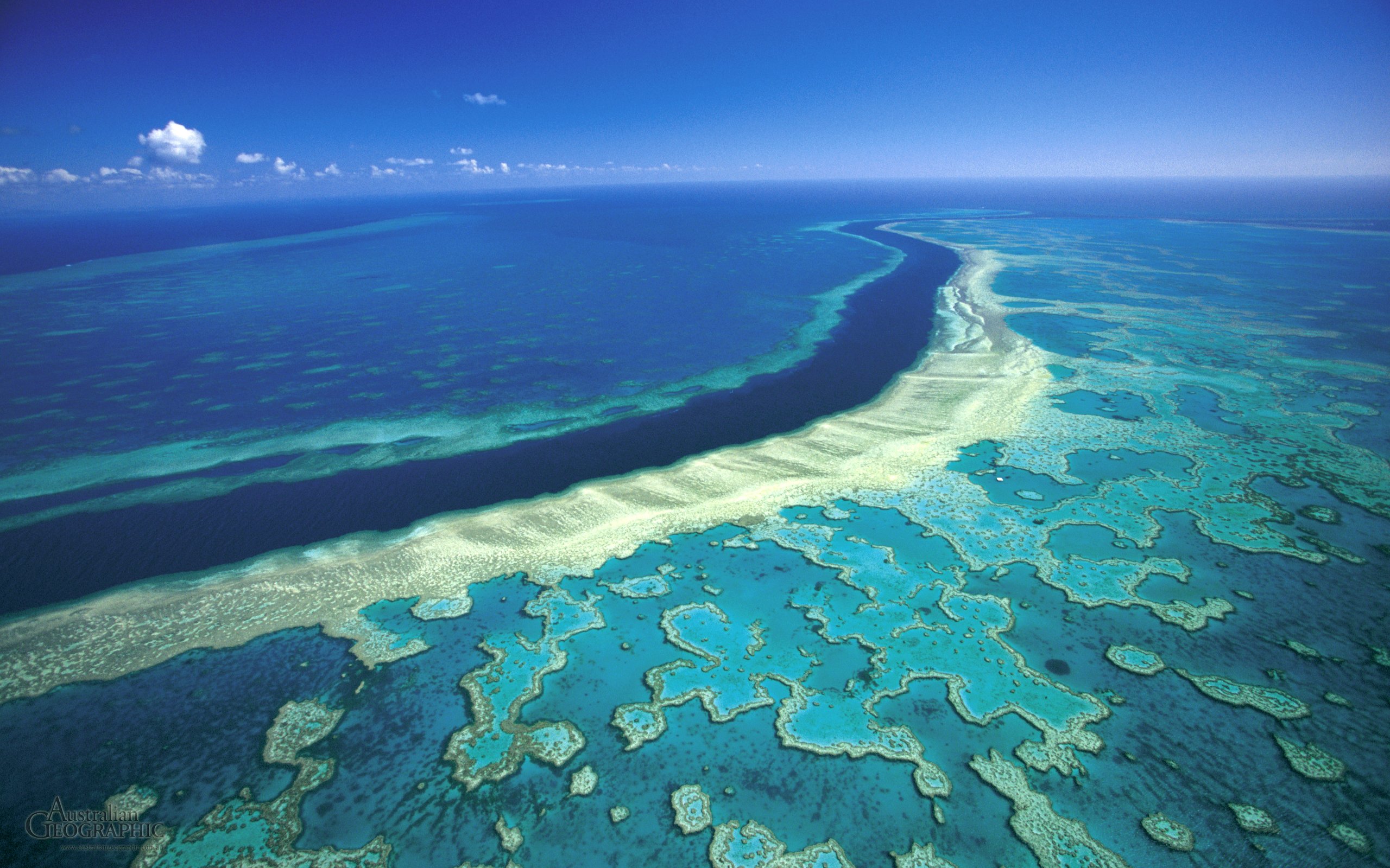 australia great barrier reef