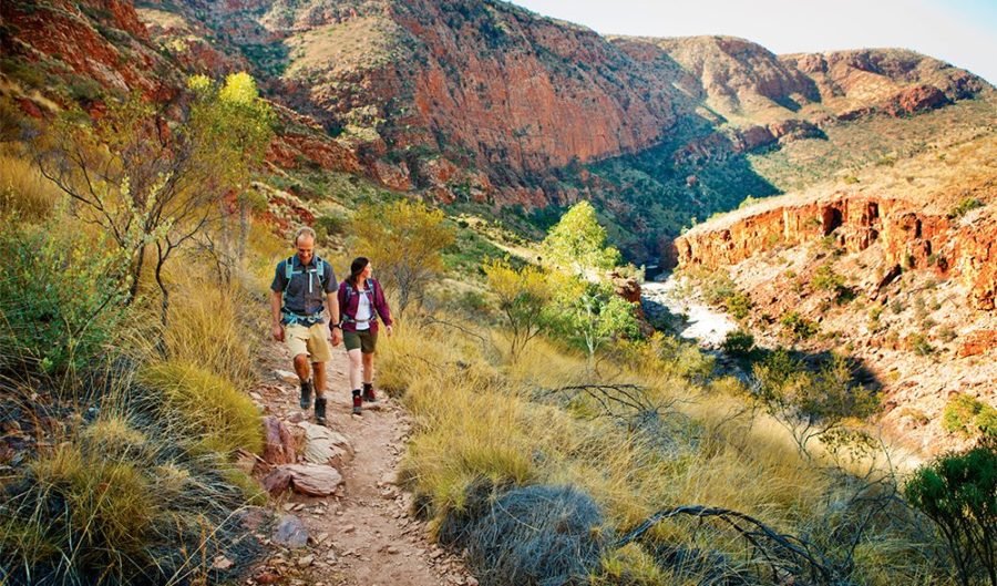 trek larapinta tasmania