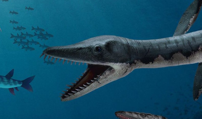 Prehistoric marine creatures: monsters of the deep - Australian Geographic