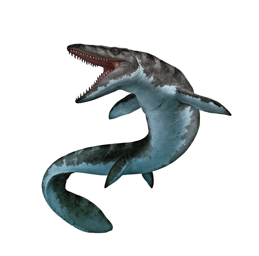 Prehistoric marine creatures: monsters of the deep - Australian Geographic