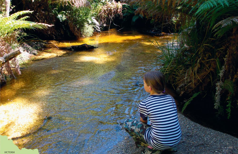 Sealers Cove trail guide Australian Geographic