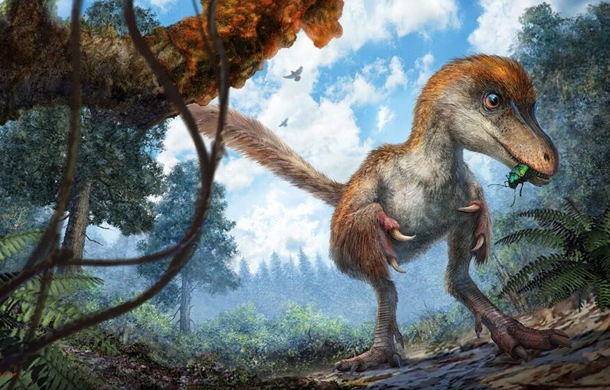 A small coelurosaur dinosaur approaching a resin-coated tree branch on the forest floor