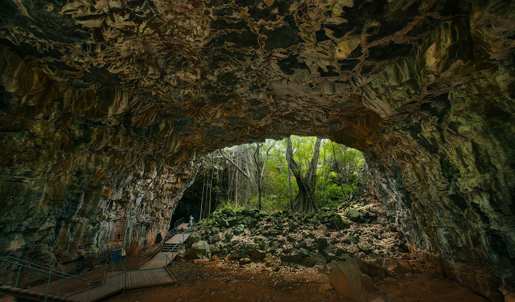 Gallery Undara Lava Tubes Australian Geographic