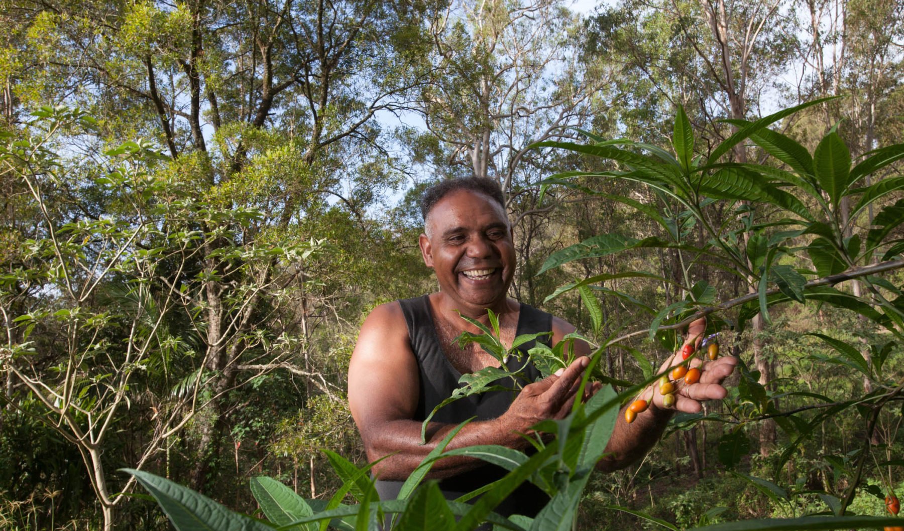 GALLERY Native wisdom Australian Geographic