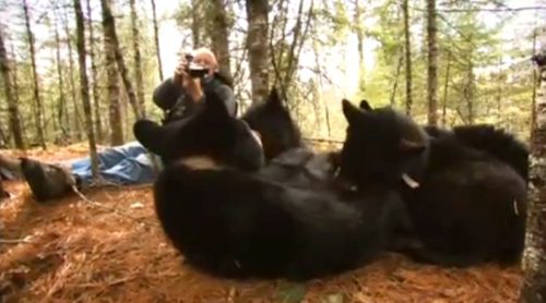 Dream job: making wildlife documentaries - Australian Geographic
