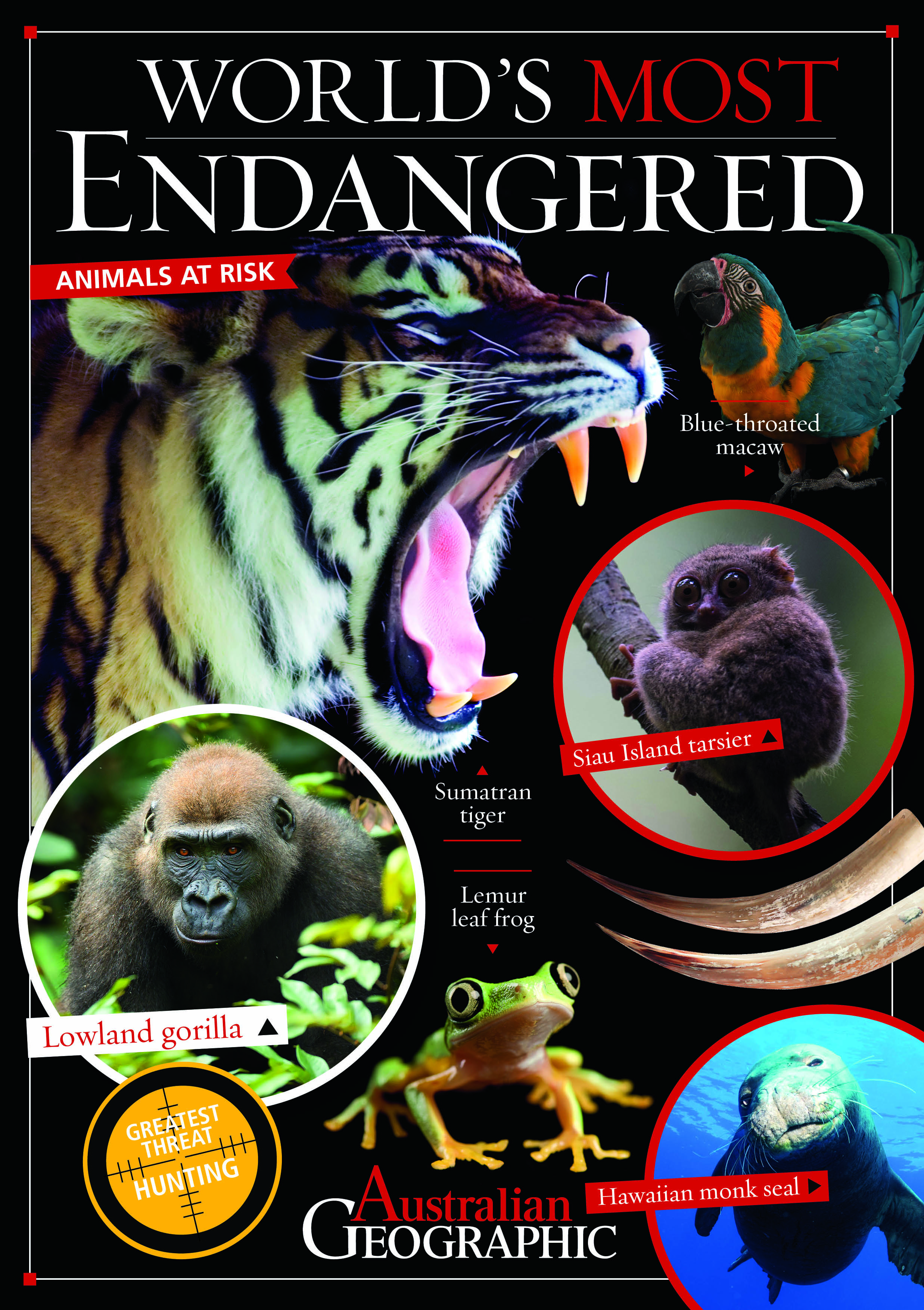 Image result for animal endangerment magazine