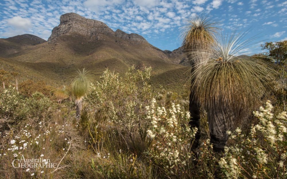 Bluff knoll Australian Geographic