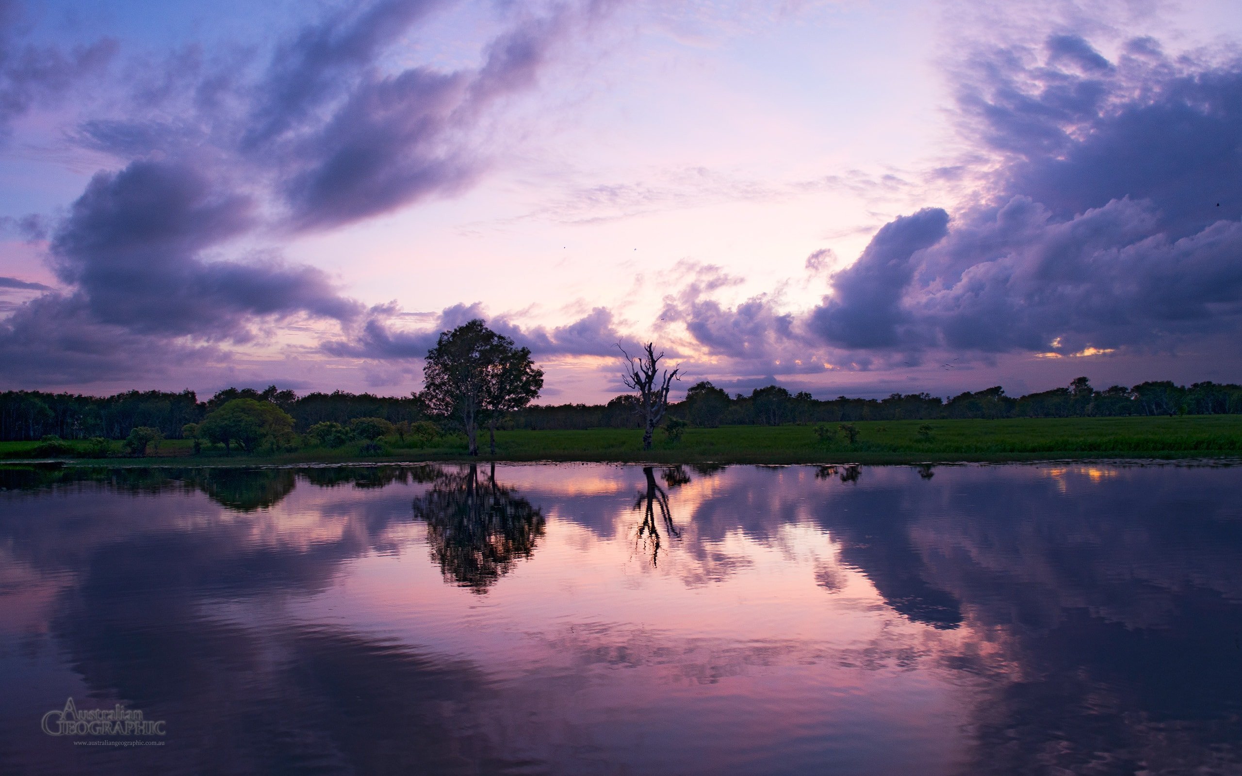 Purple sunrise on Yellow Water Billabong - Australian 