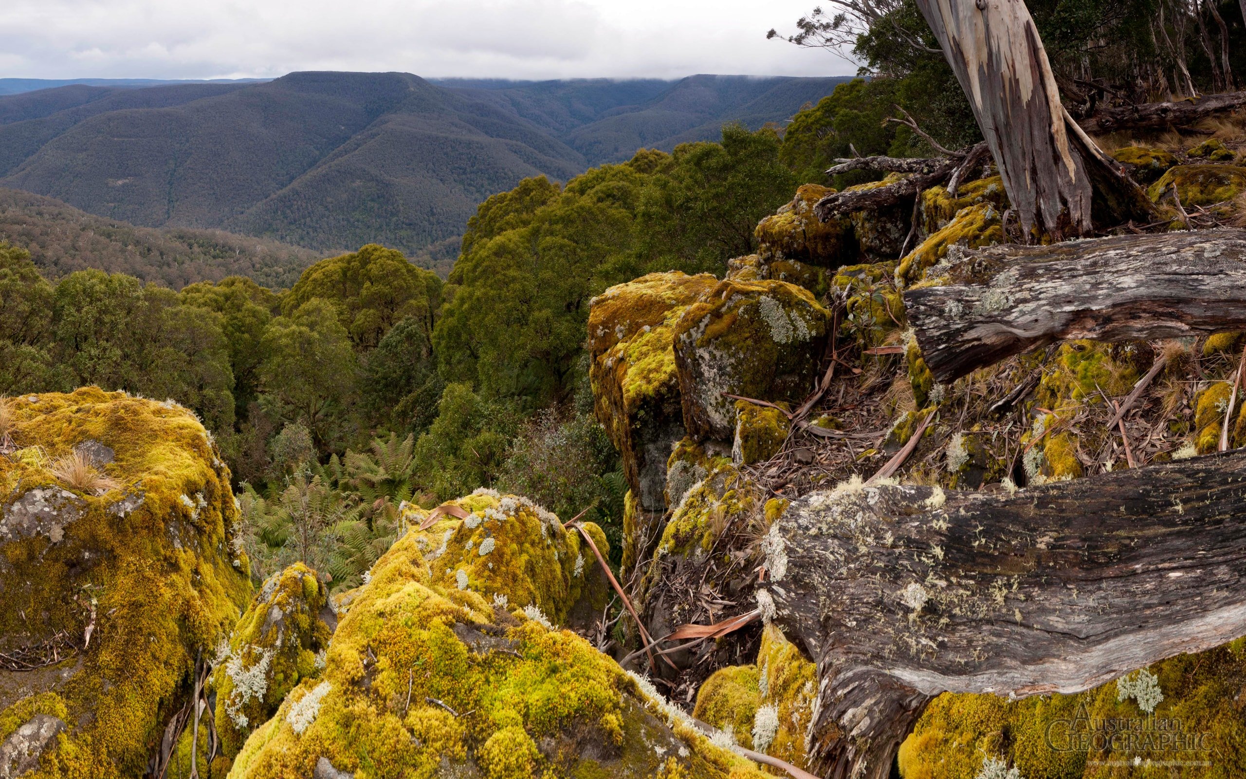 Barrington Tops National Park, New South Wales Australian Geographic