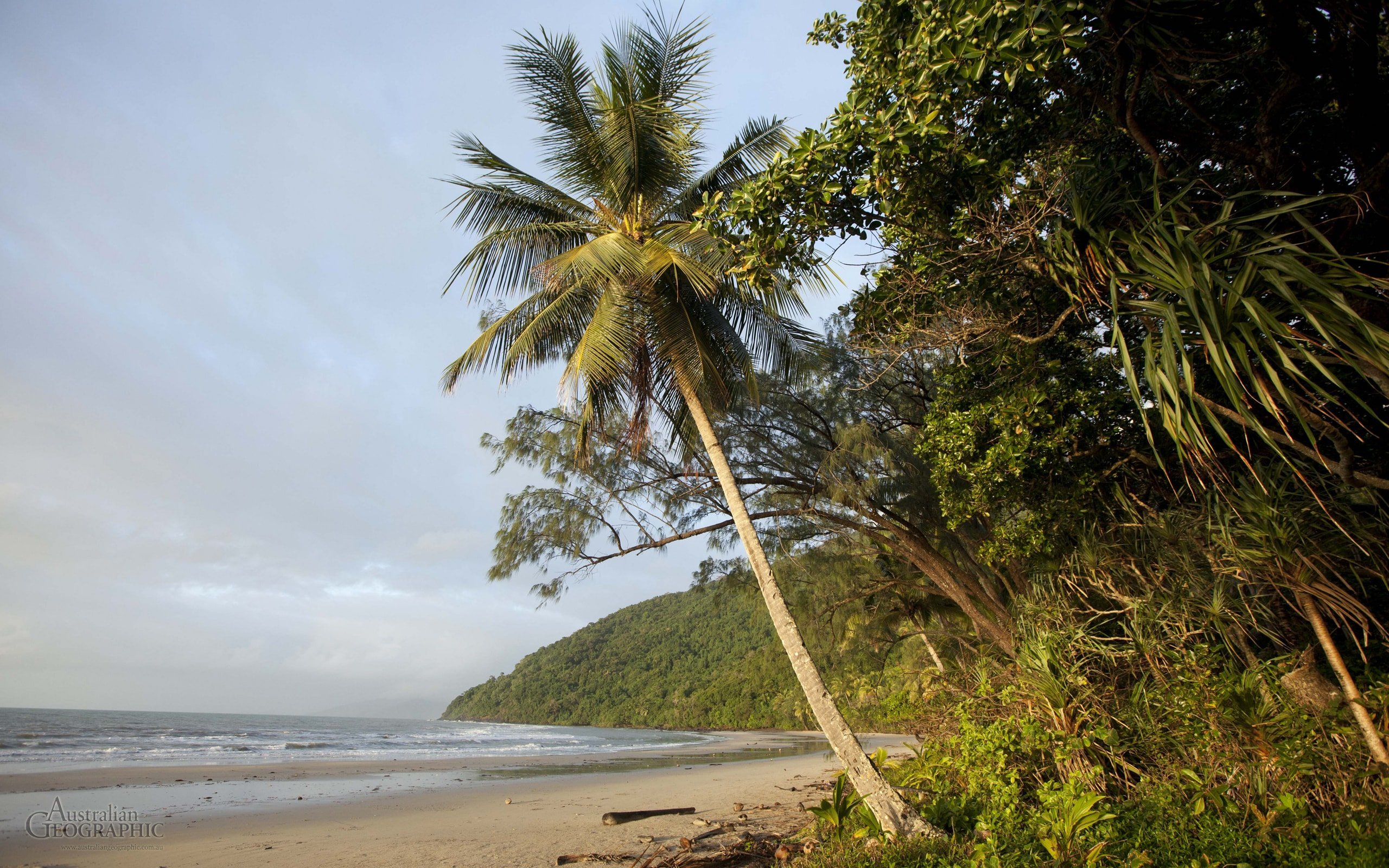 Coconut Beach, Queensland Australian Geographic
