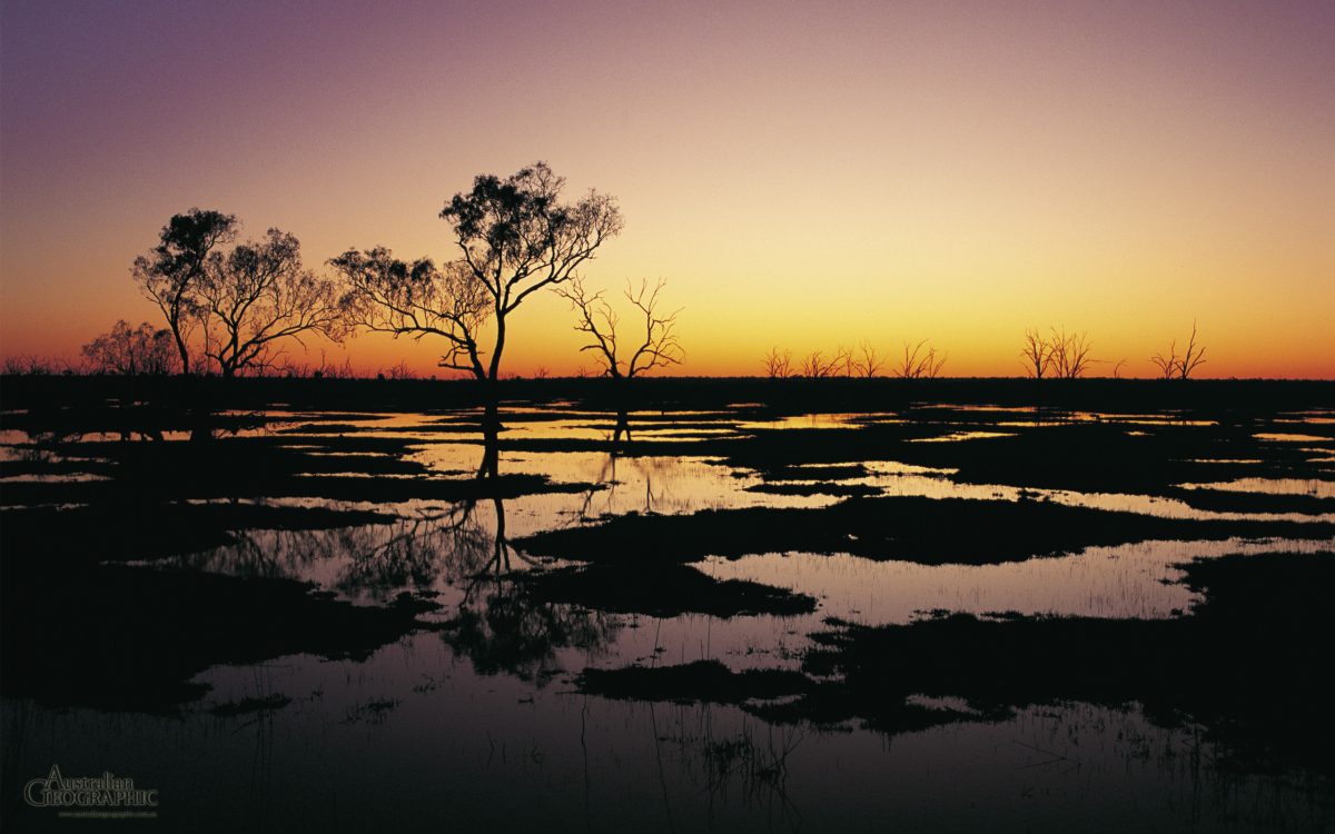 macquarie marshes tour
