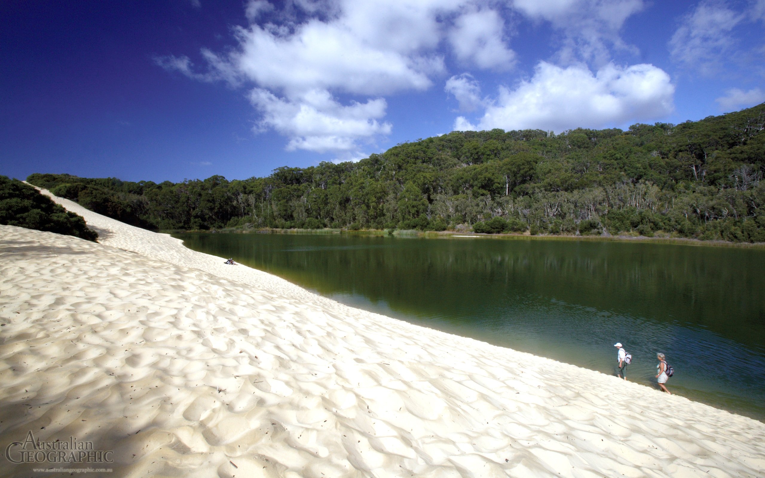 Images of Australia Lake Wabby, Fraser Island, Queensland Australian
