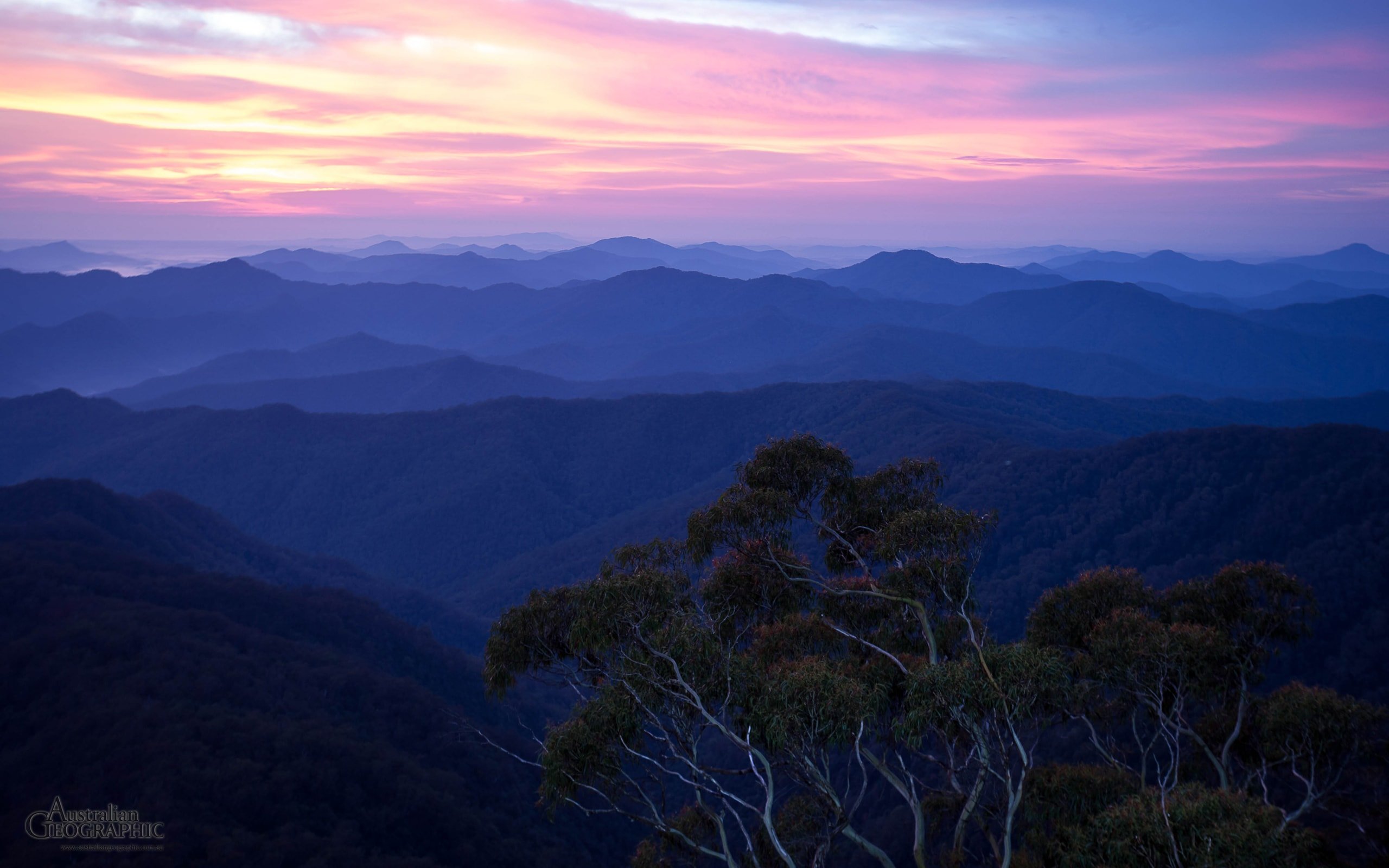 new england national park new south wales australian geographic